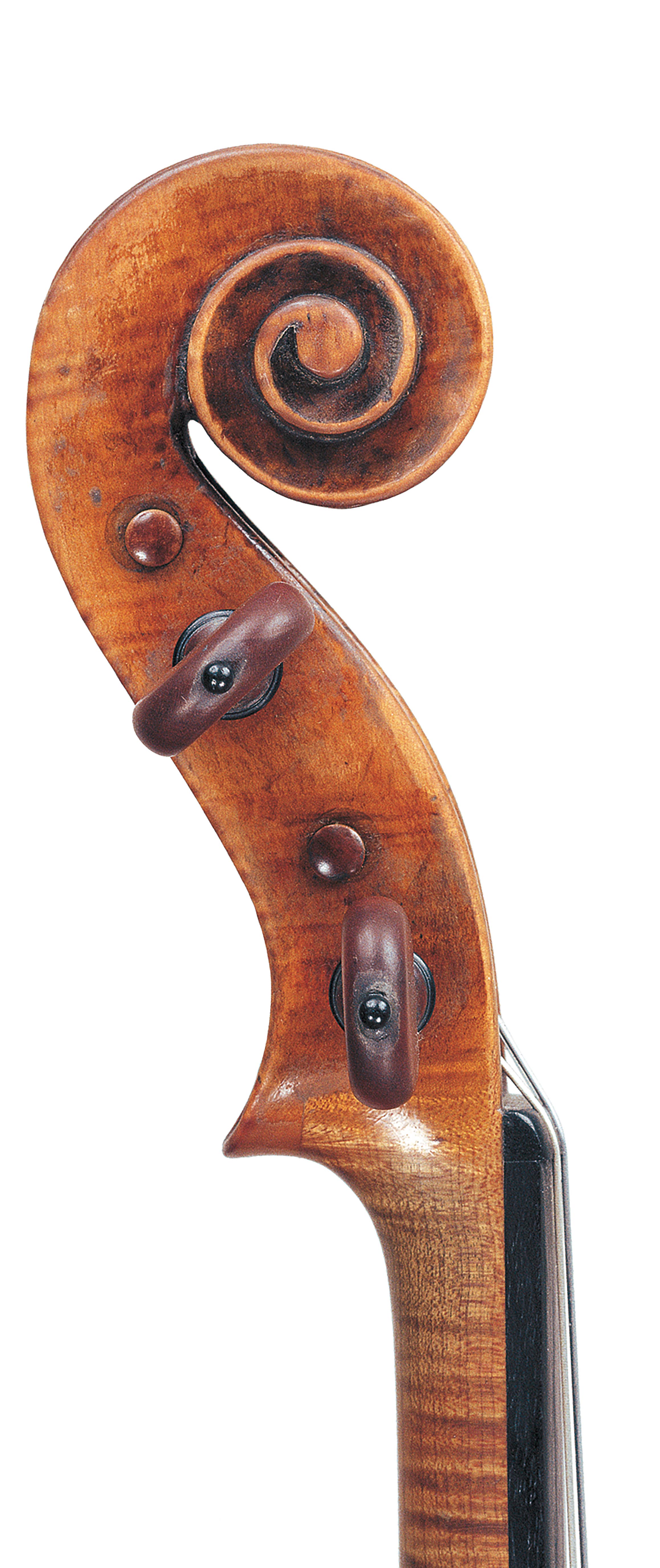 Camillo Camilli Violin, 1739 | Fine Violins | Ingles & Hayday