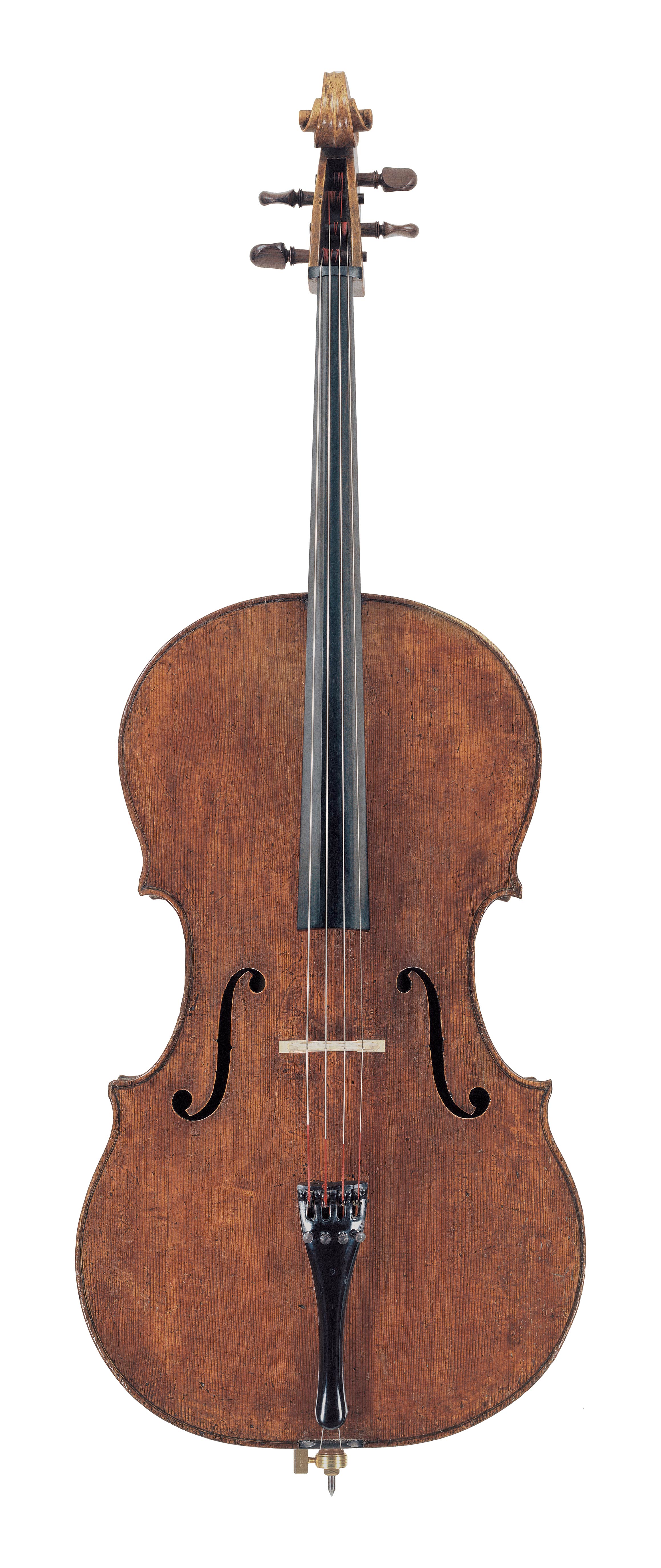 Cello by Carlo Giuseppe Testore