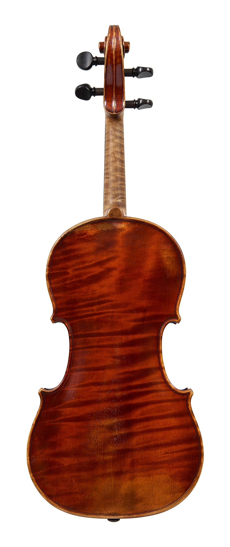 Back of a violin by ASP Bernardel, 1829. The wood chosen for this violin is exquisite and the rich burgundy varnish covering the instrument is still largely intact.