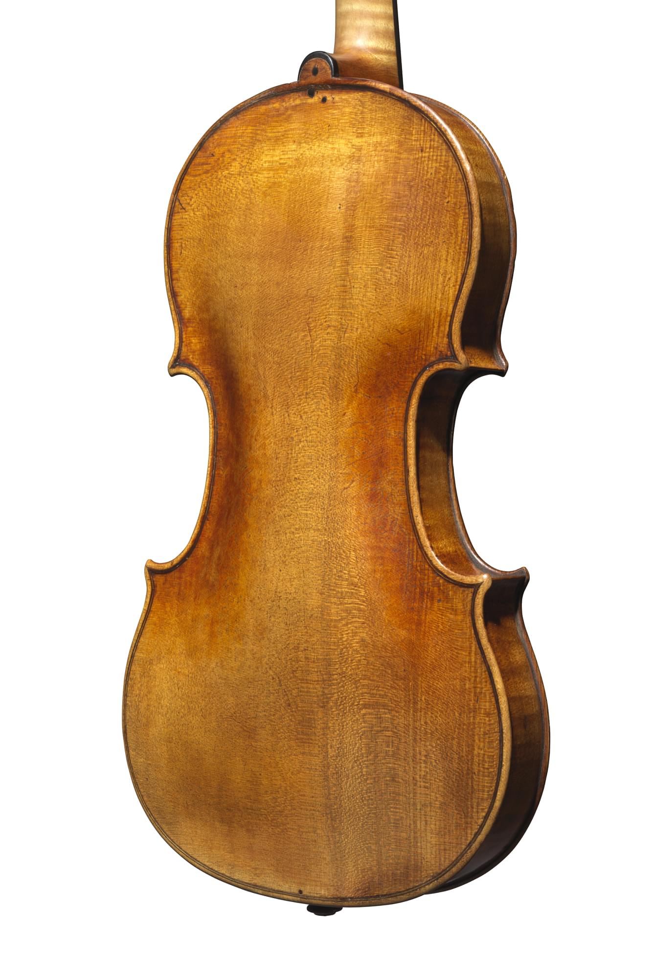 A Violin by Giuseppe | Ingles Hayday