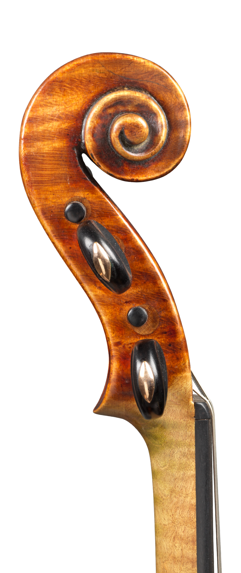 Scroll of a violin by Auguste Sébastien Philippe Bernardel, Paris, 1828. This violin has a very big and nuanced sound. Its warmth and easy response are striking.