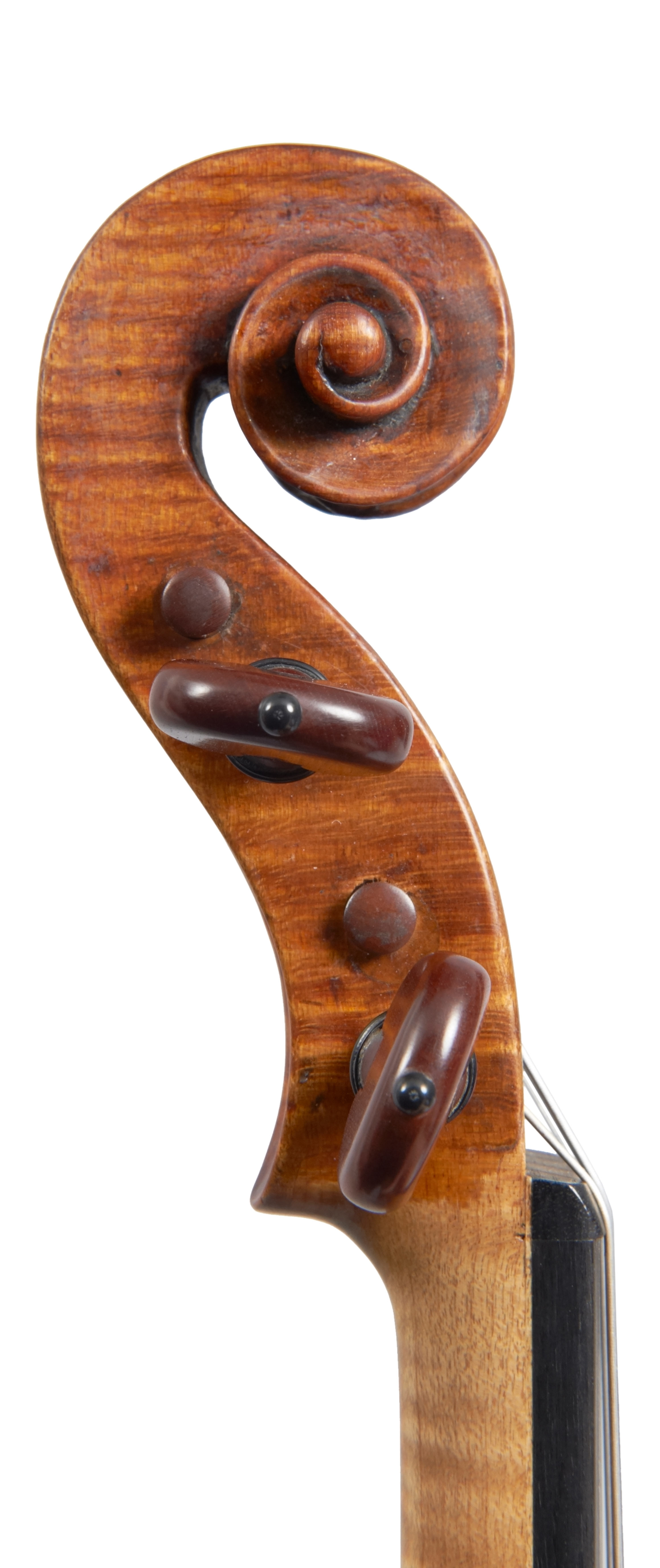 A violin by Carlo Antonio Testore | Four Centuries Gallery 