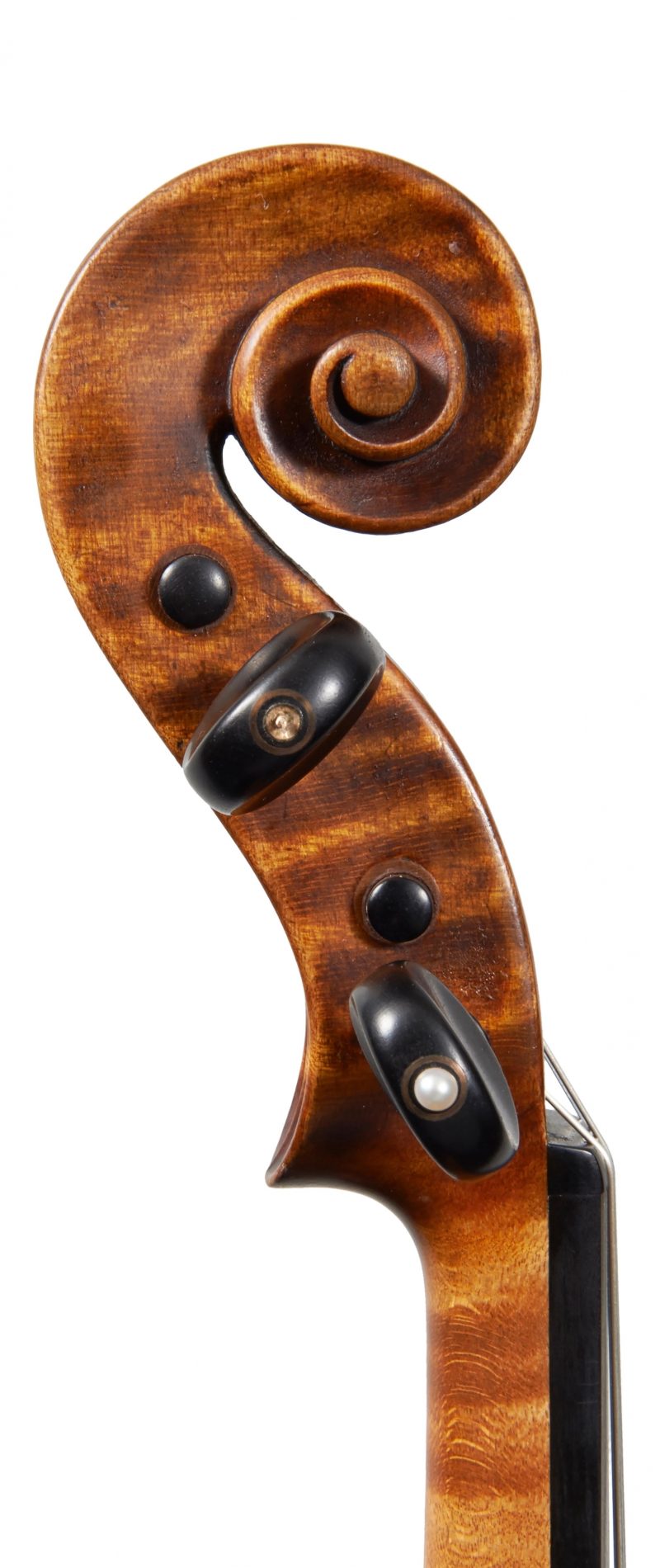 A violin by Nicolò Gagliano | Four Centuries Gallery | Ingles & Hayday