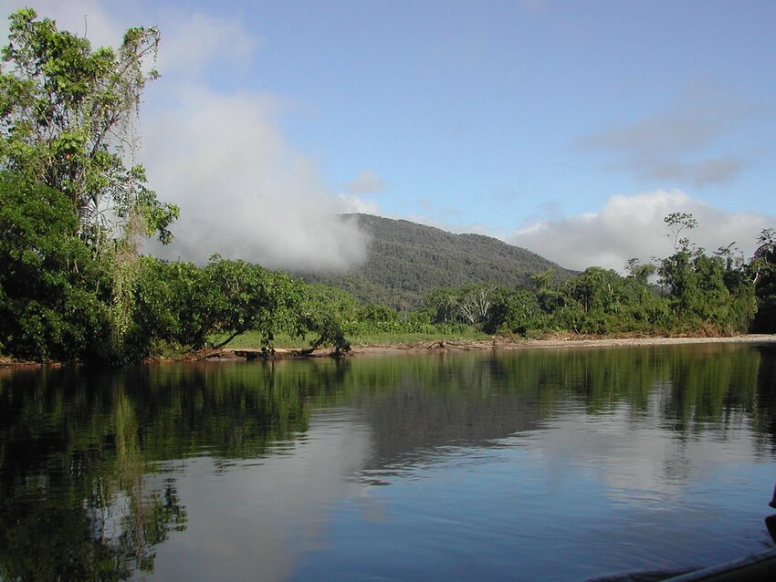 Nangaritza, one of the habitats protected through WLT's Carbon Balanced programme that Ingles and Hayday have support