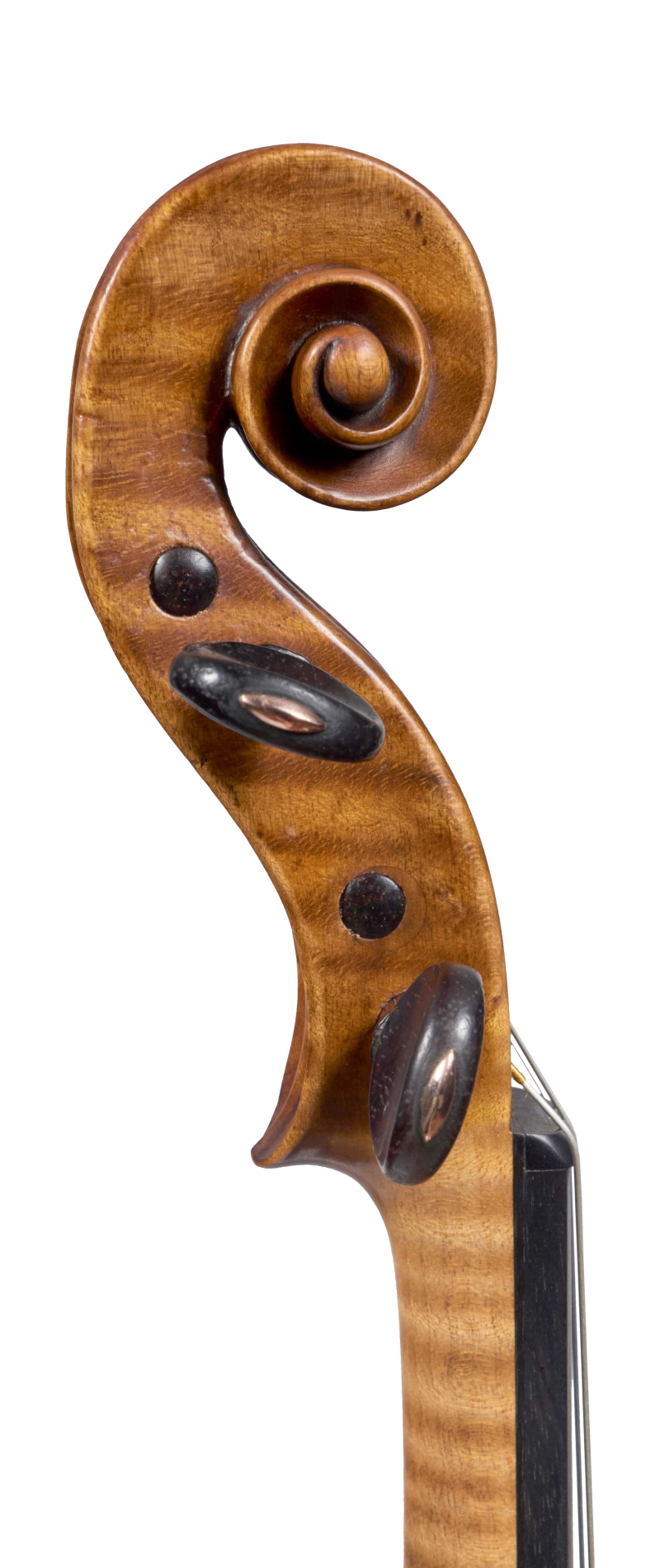 Scroll of a violin by Antonio Gragnani, 1776. This violin is a very representative example of the maker’s output, with a beautiful and piercing tone which is colourful and carries well in all registers.