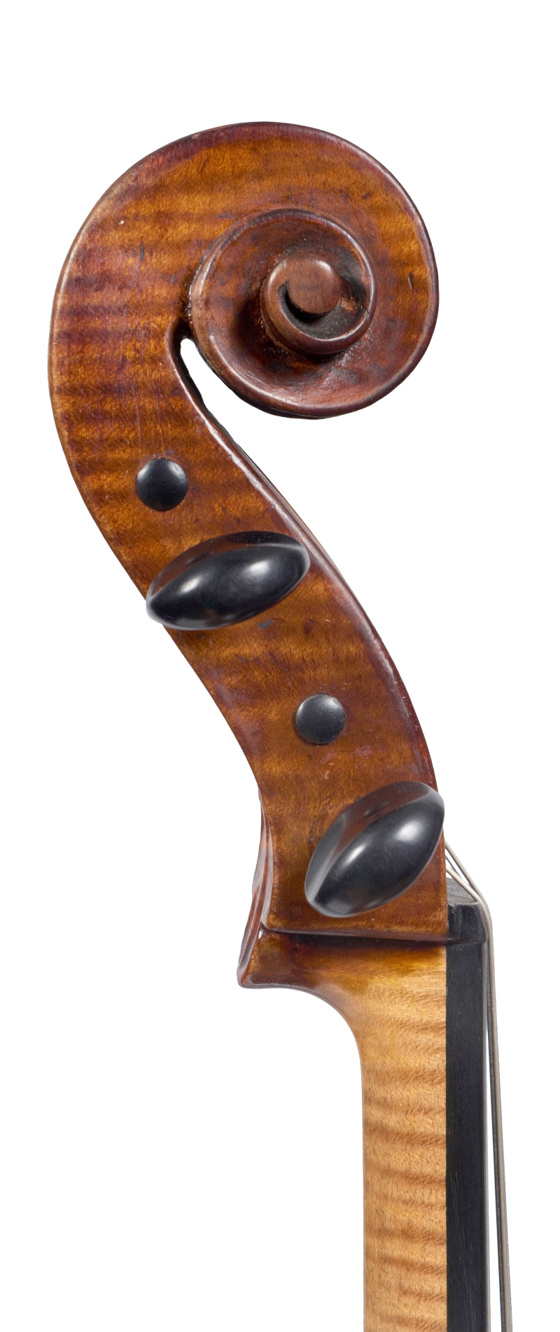 Scroll of a viola by Gaetano Sgarabotto, circa 1920. This viola has a full and warm sound with a singing A string and an open bass register.