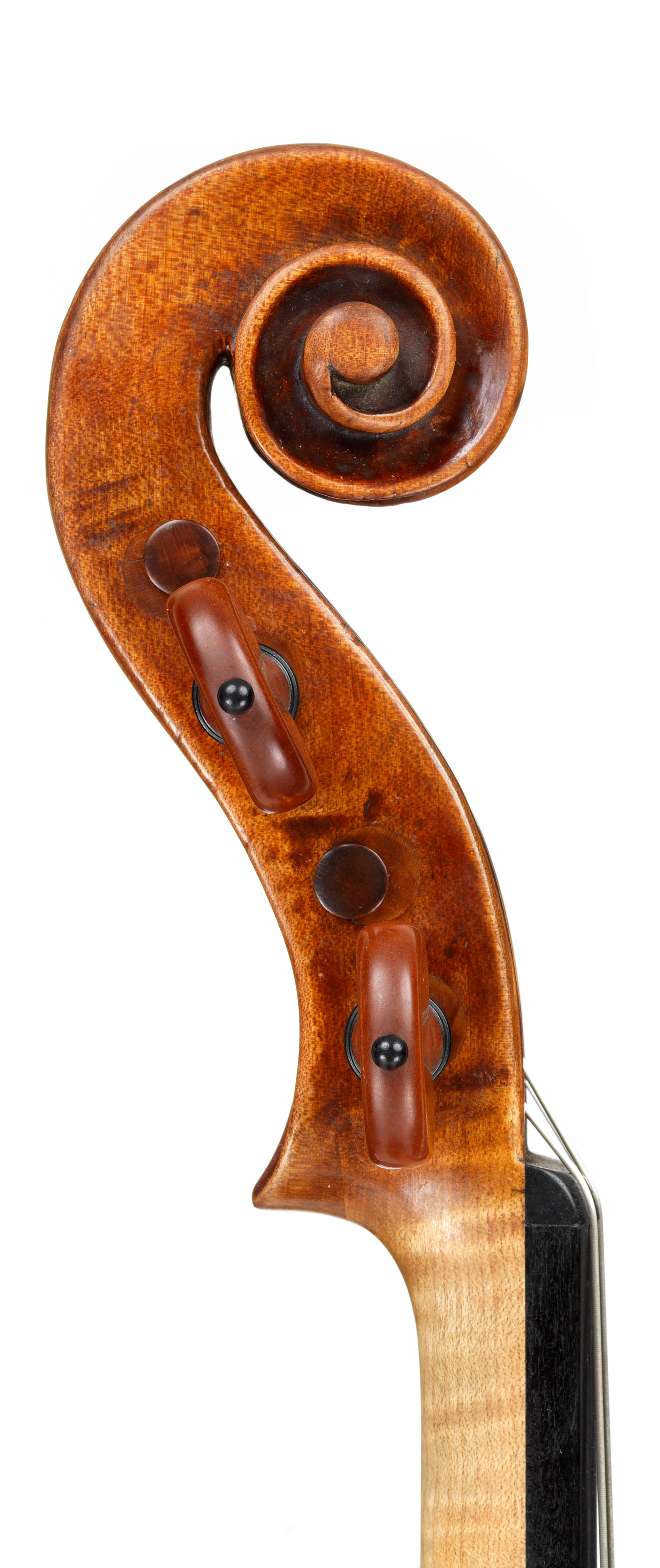 A violin by Giovanni Battista Guadagnini | Four Centuries