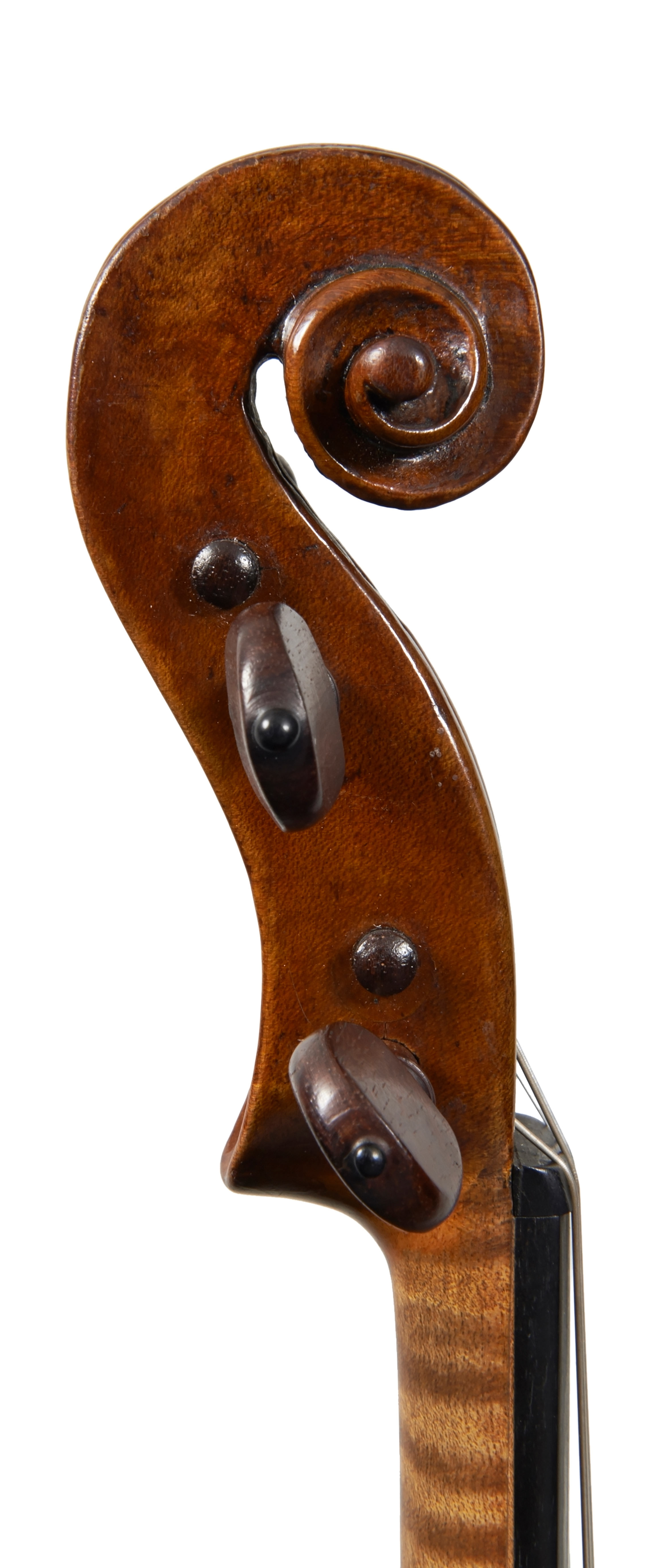 A violin by Giovanni Gagliano | Four Centuries Gallery