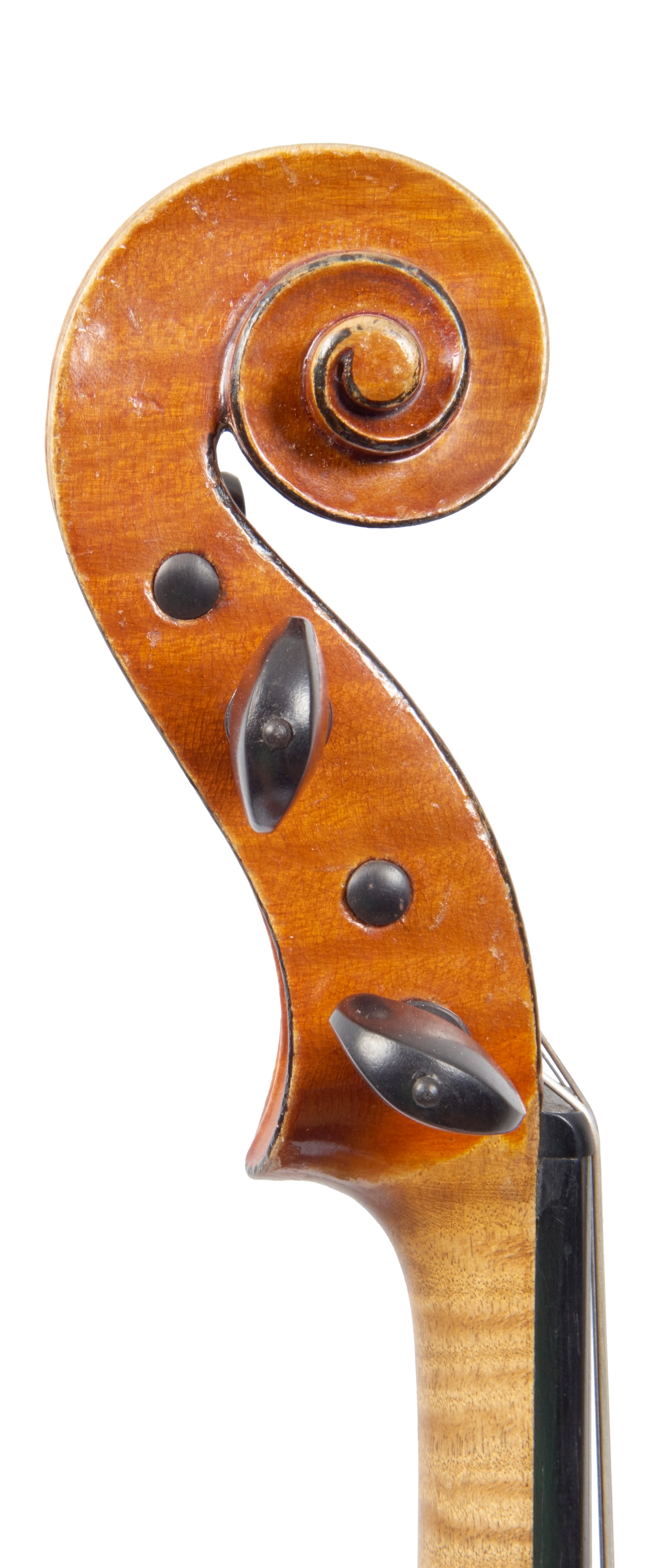 annibale-fagnola-viola-1925-