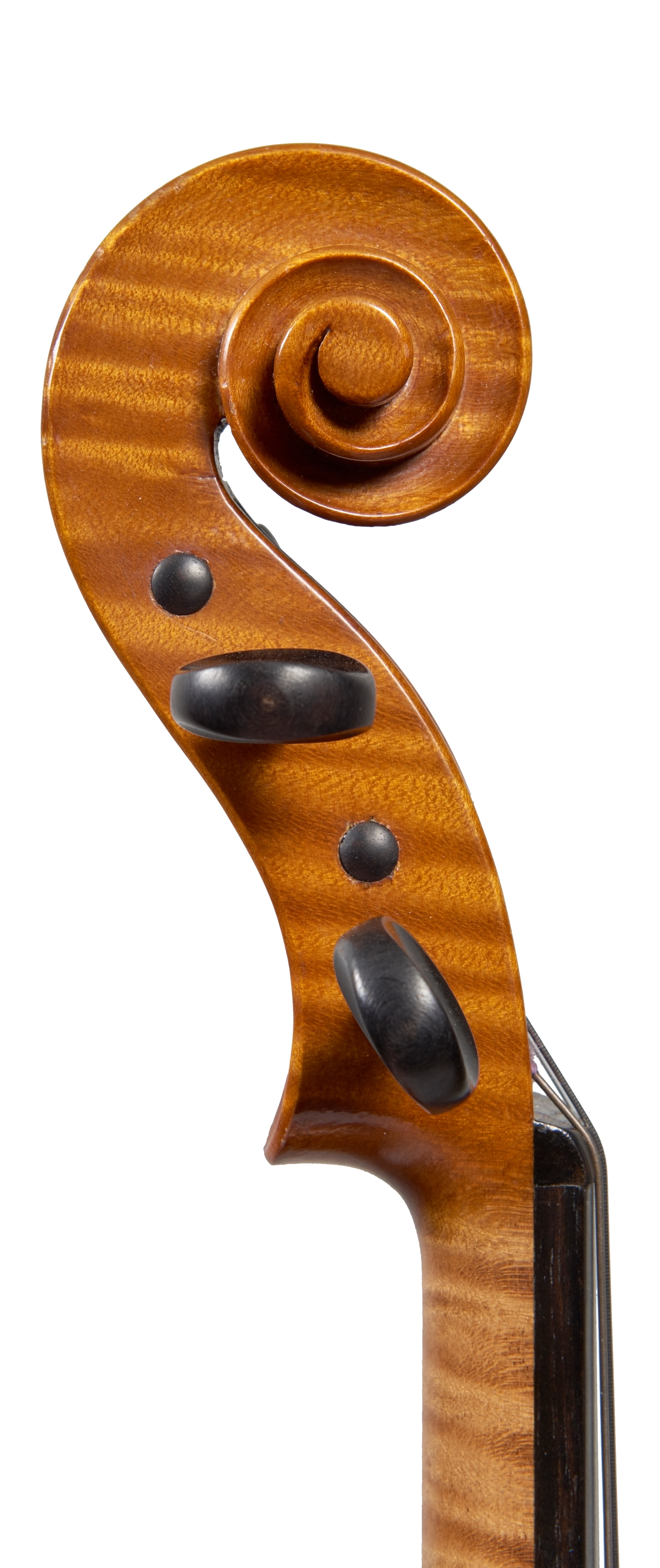 A viola by Bruno Barbieri | Four Centuries Gallery | Ingles