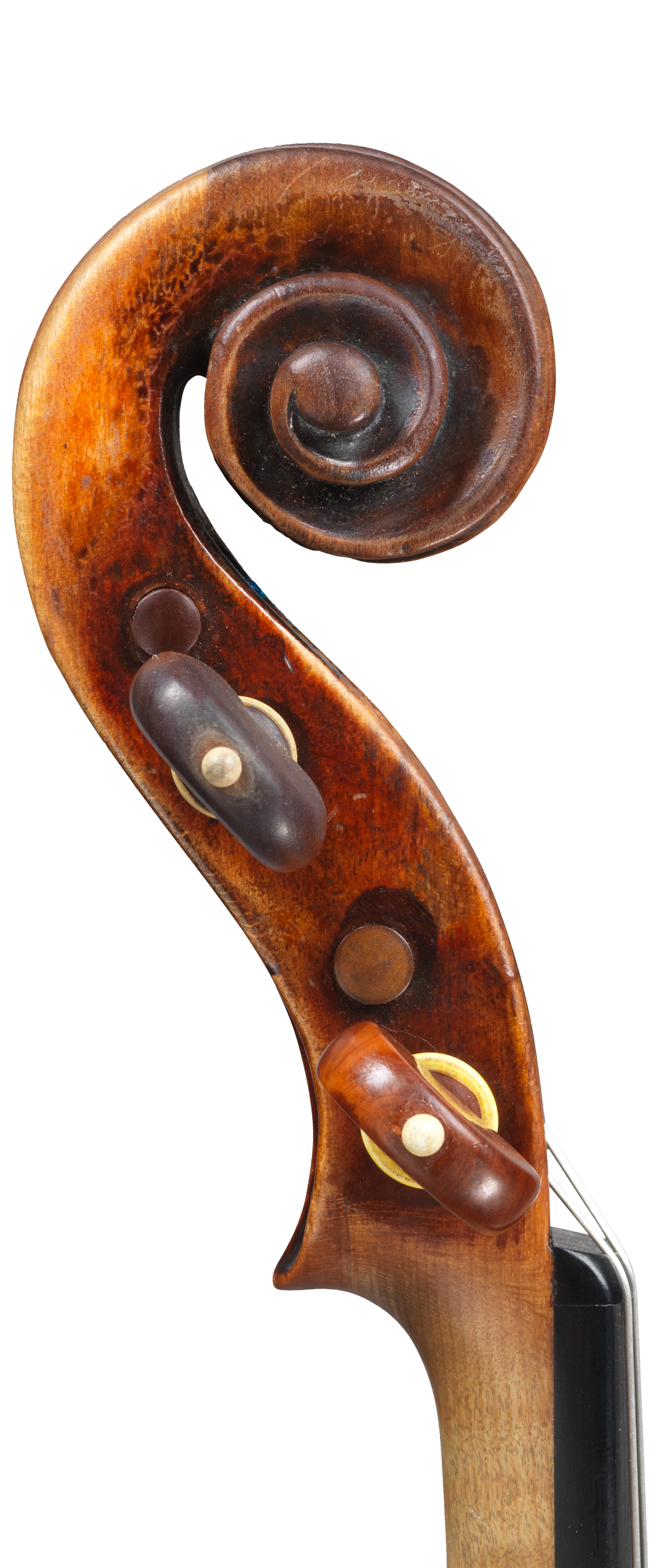 A violin by Giovanni Battista Guadagnini | Four Centuries