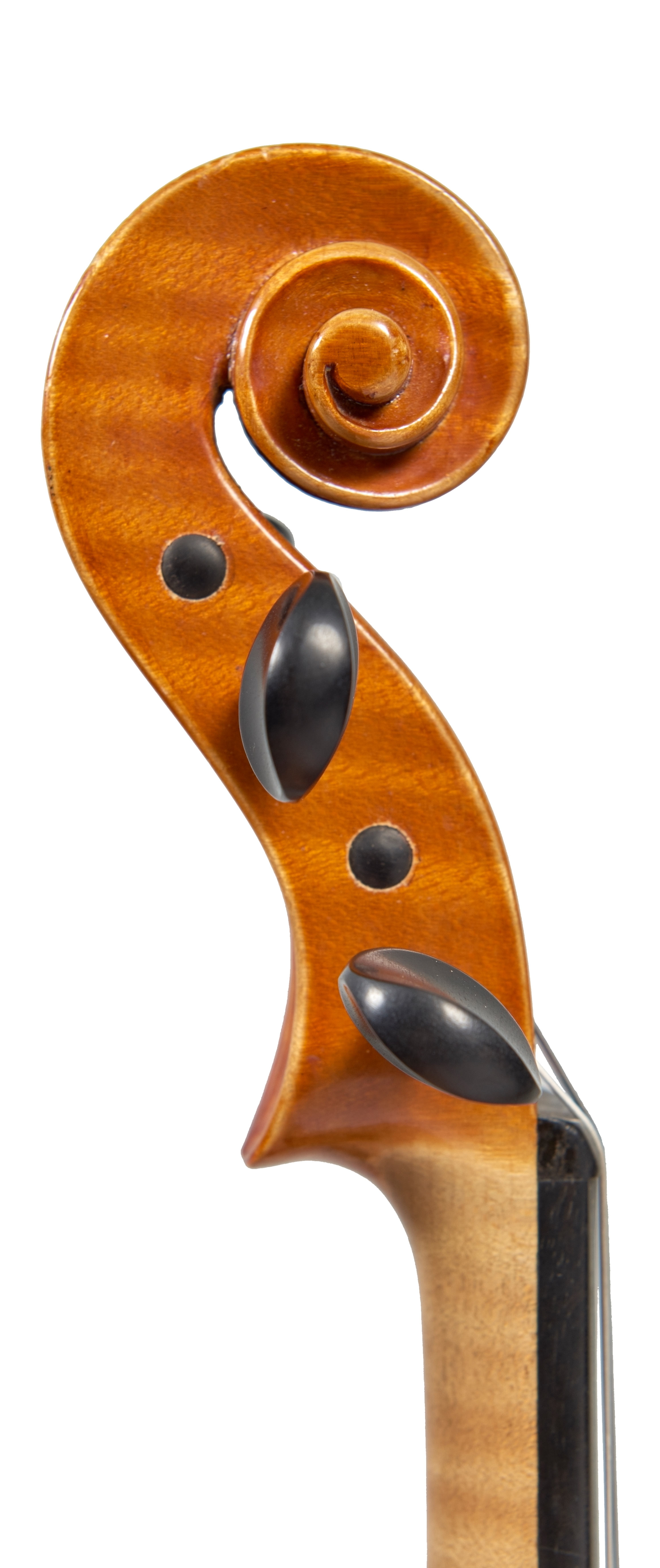 Lucci, Giuseppe, Violin 1973 | Notable Sales