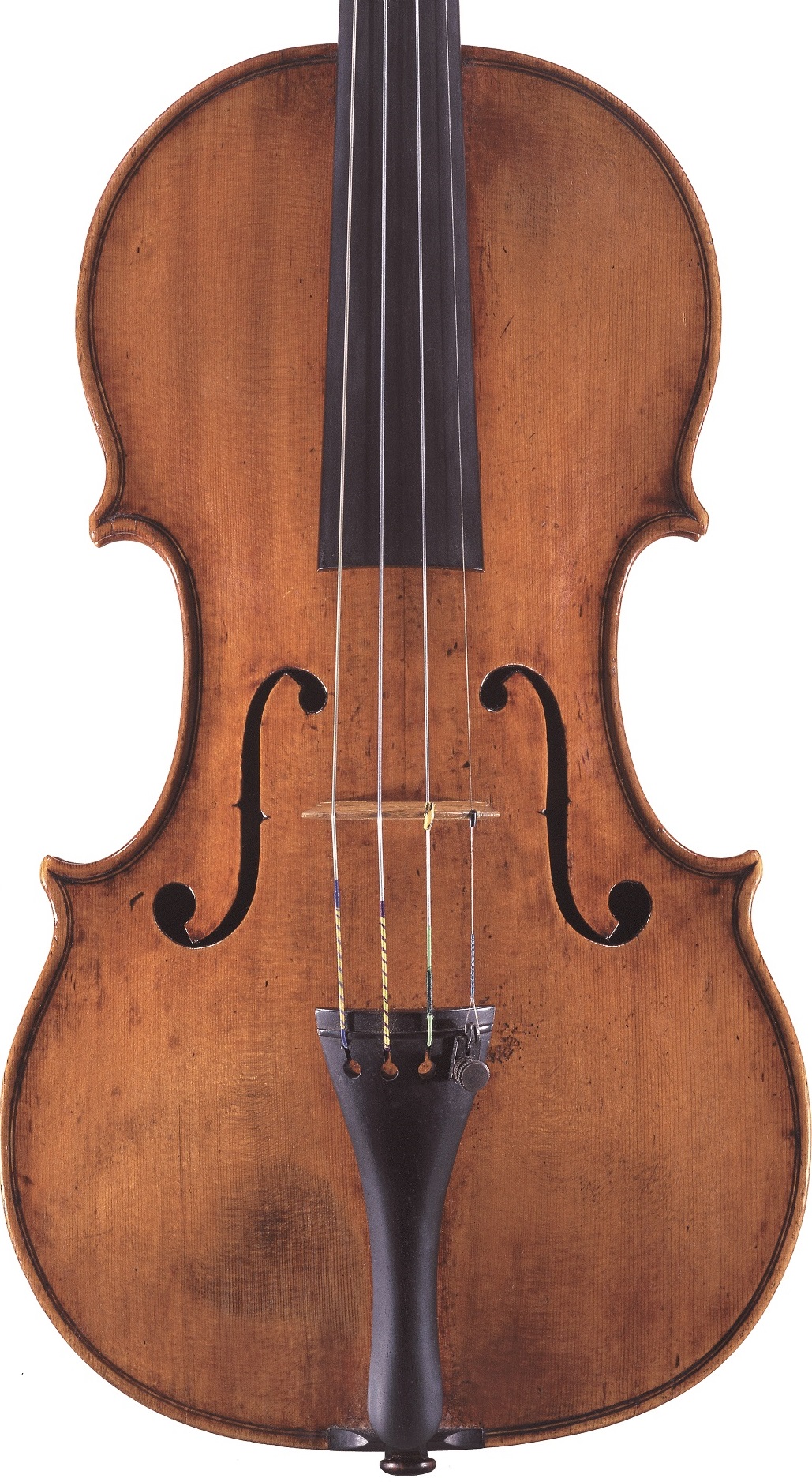 Front of a violin by Pietro Guarneri of Mantua, 1704
