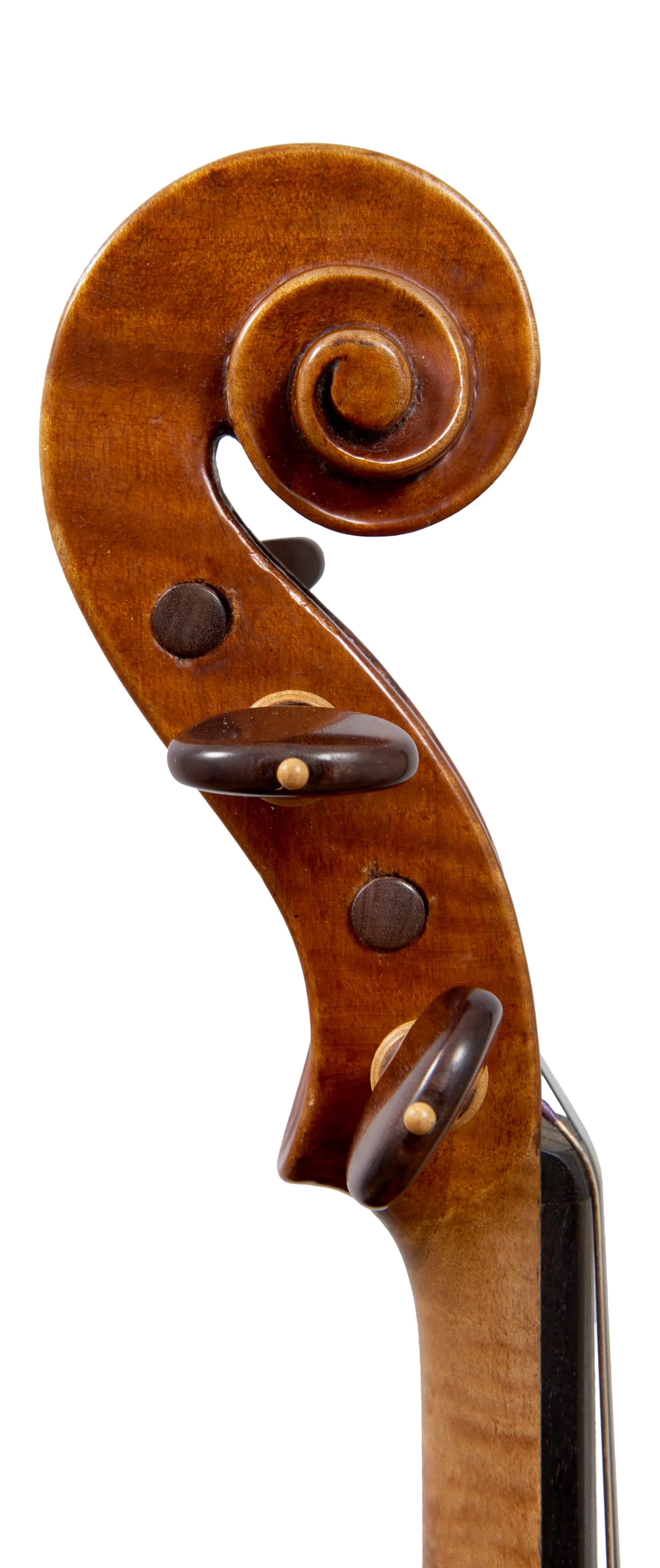 A violin by Vincenzo Cavani Four Centuries Gallery Ingles Hayday