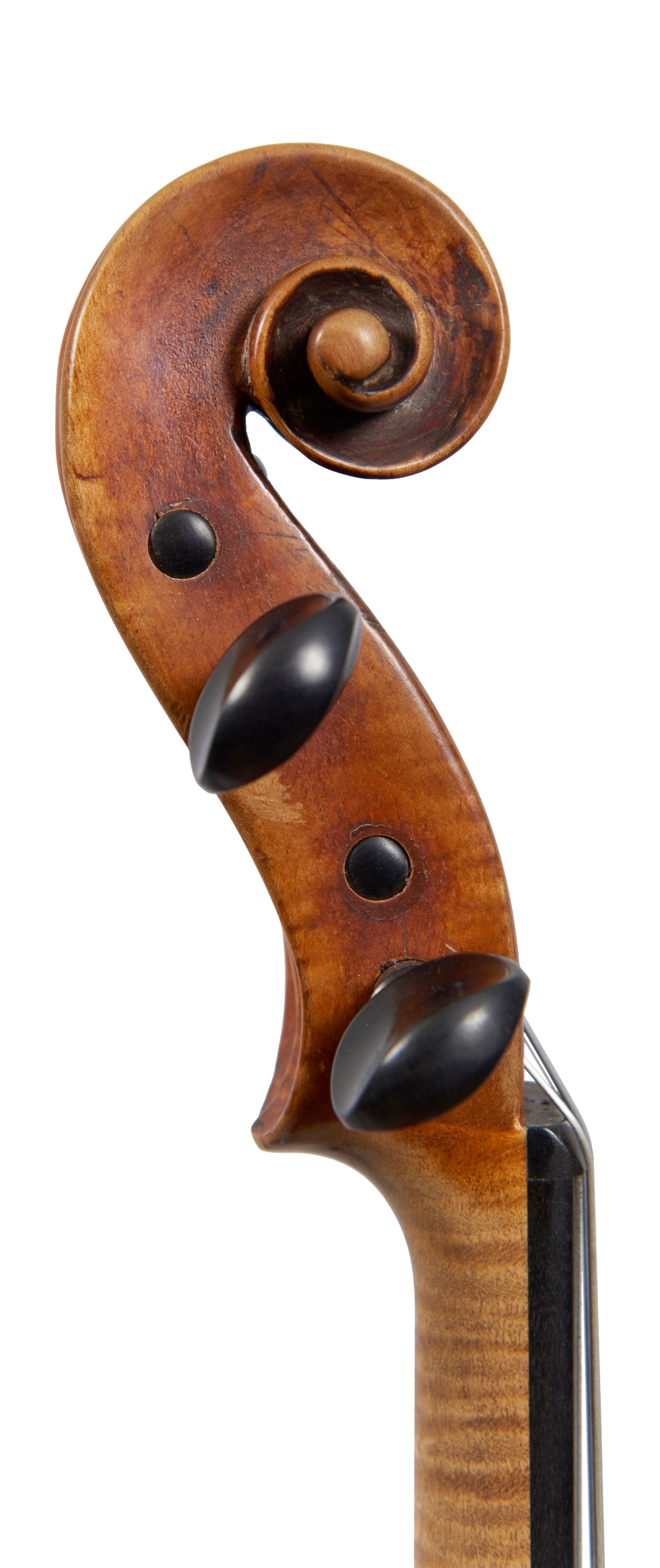 A violin by Zosimo Bergonzi | Four Centuries Gallery | Ingles & Hayday