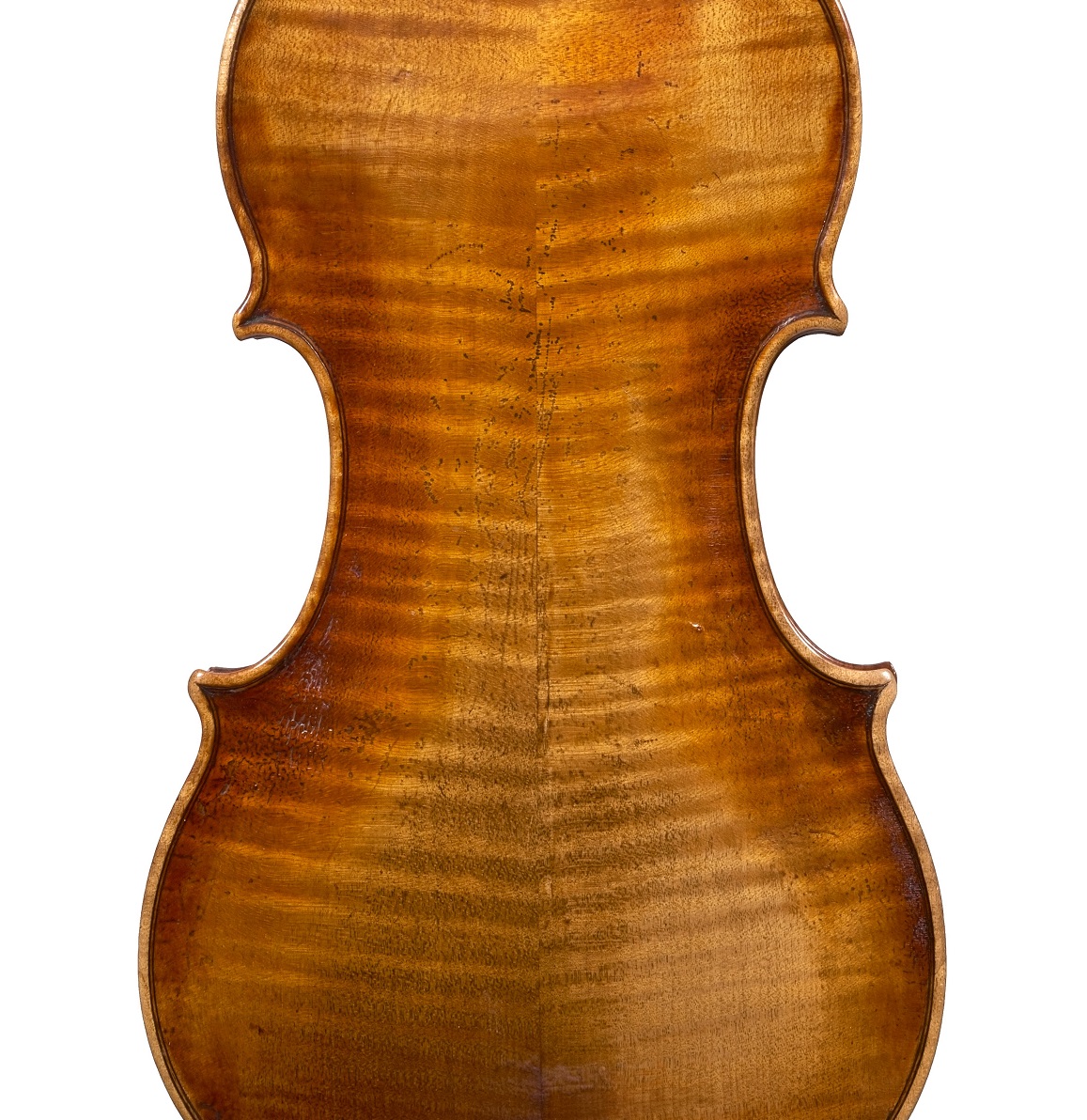 Back of a violin by David Tecchler, circa 1720