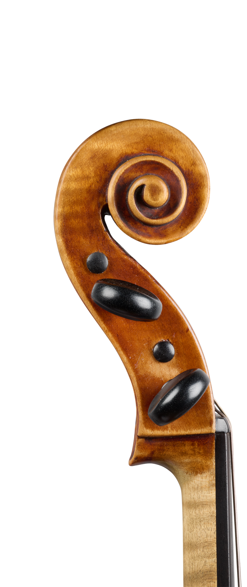 Scroll of a viola by Gaetano Sgarabotto, Parma, circa 1930