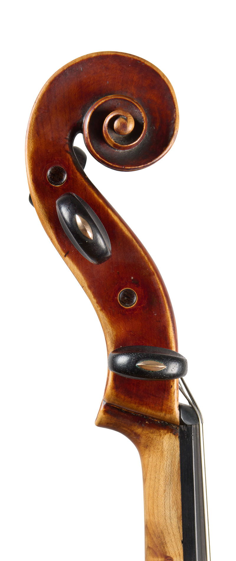 scroll of a cello by William Forster, London, 1775