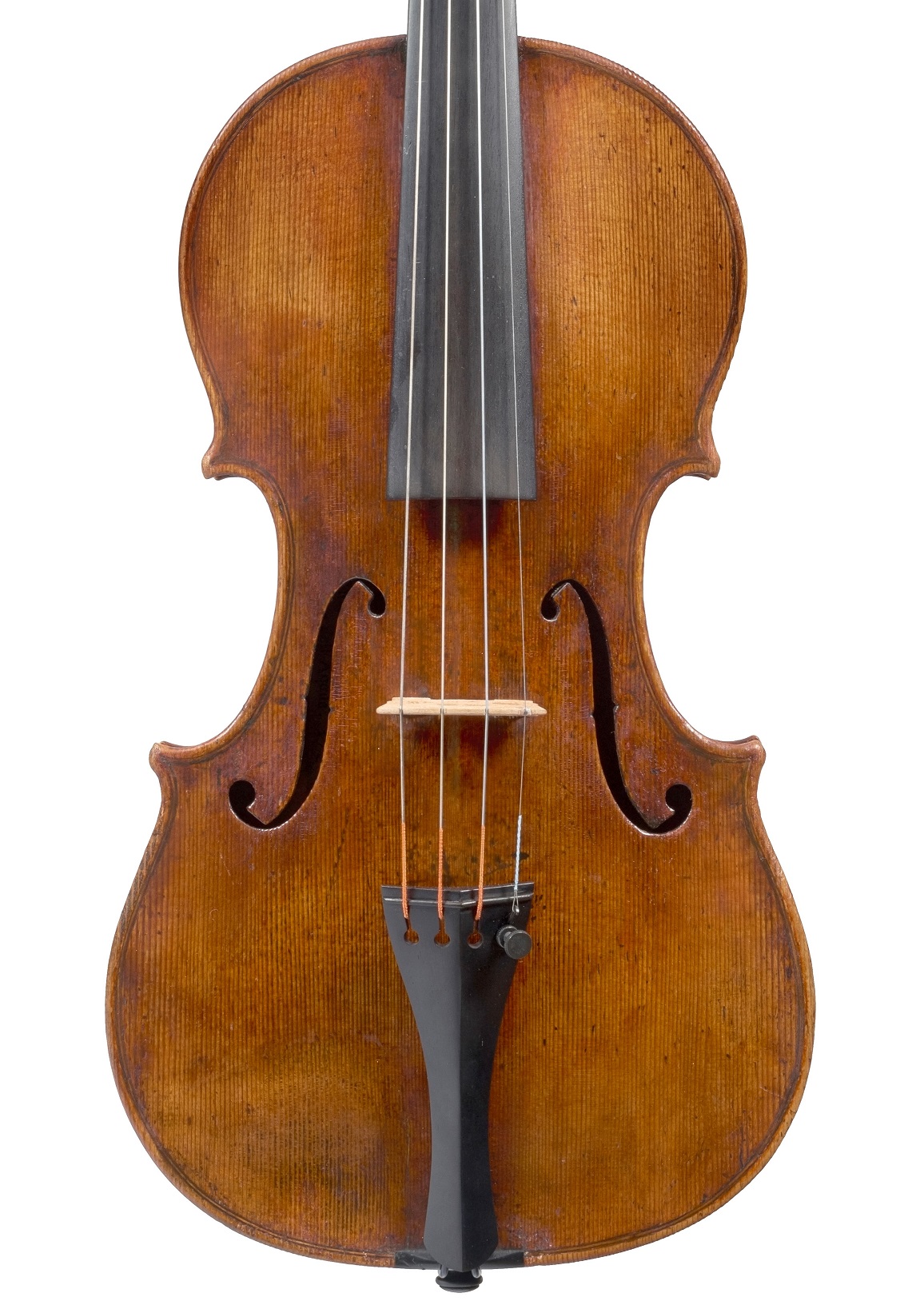 Front of the C.G. Testore violin from the Norman Rosenberg collection to be sold at Ingles & Hayday