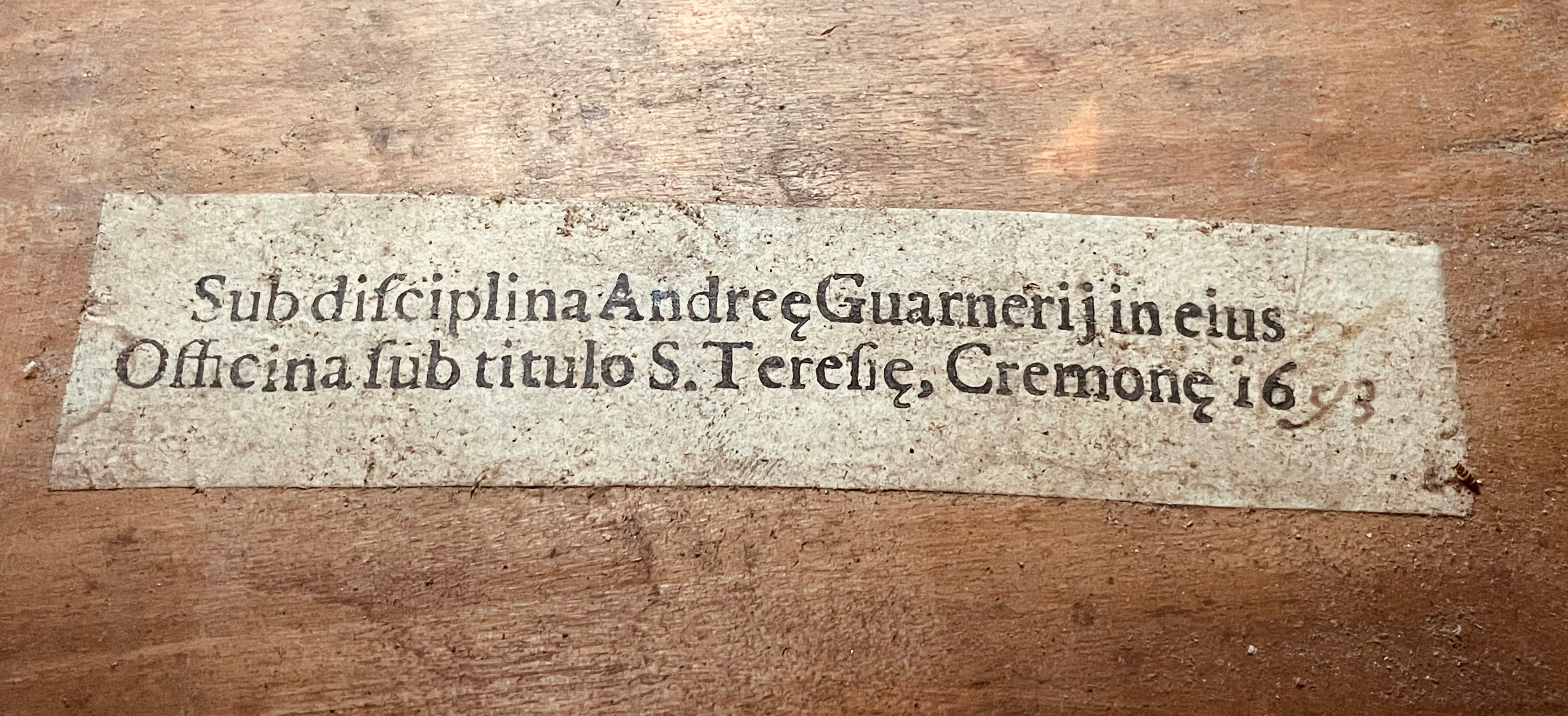 Giuseppe Guarneri Filius Andreae cello label