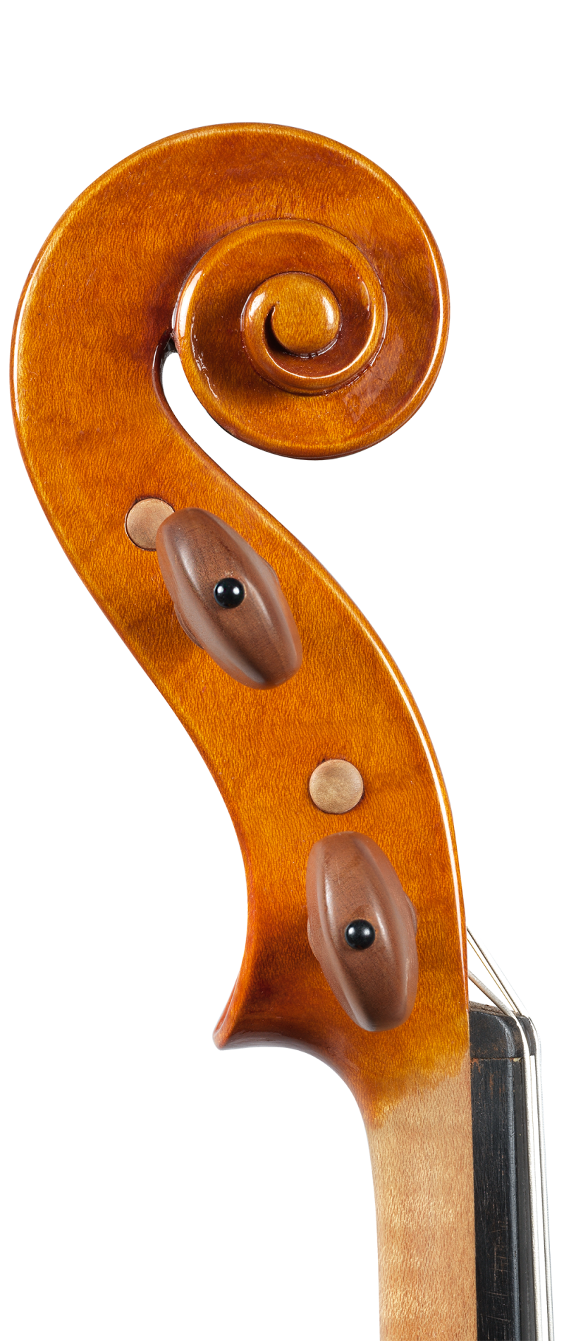 A violin by Sesto Rocchi 1974