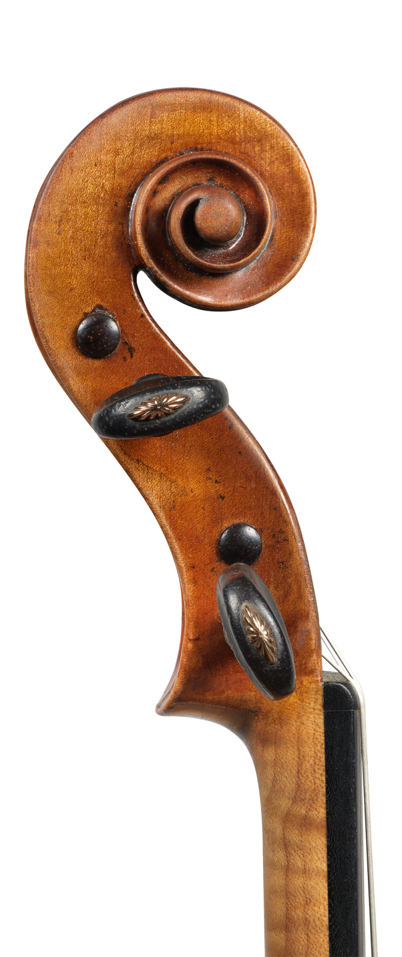 A violin by Giovanni Battista Ceruti, Cremona, 1813