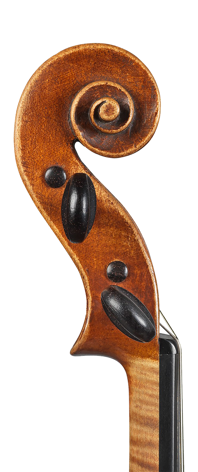 A violin by Giuseppe Baldantoni, Ancona, 1840