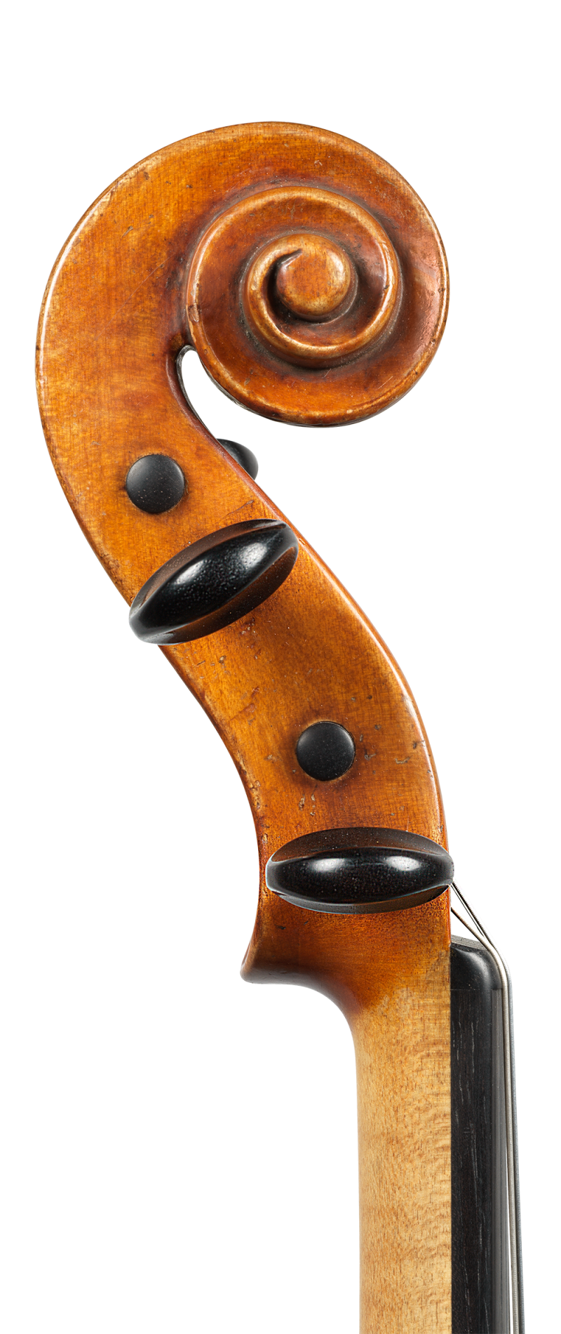 A violin by Giacomo Rivolta, Milan, 1830, available for private sale