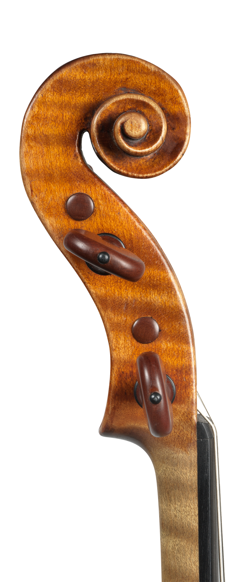 A violin by Gennaro Gagliano, Naples, 1783