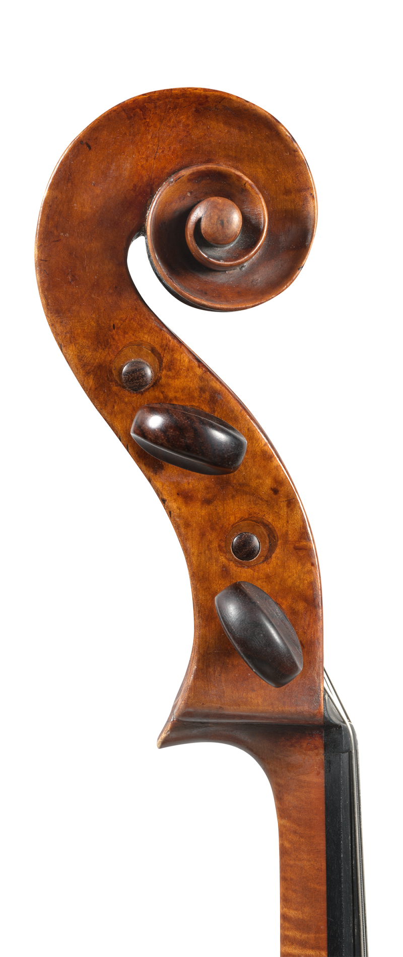 A cello by Raffaele Fiorini, Bologna, circa 1885