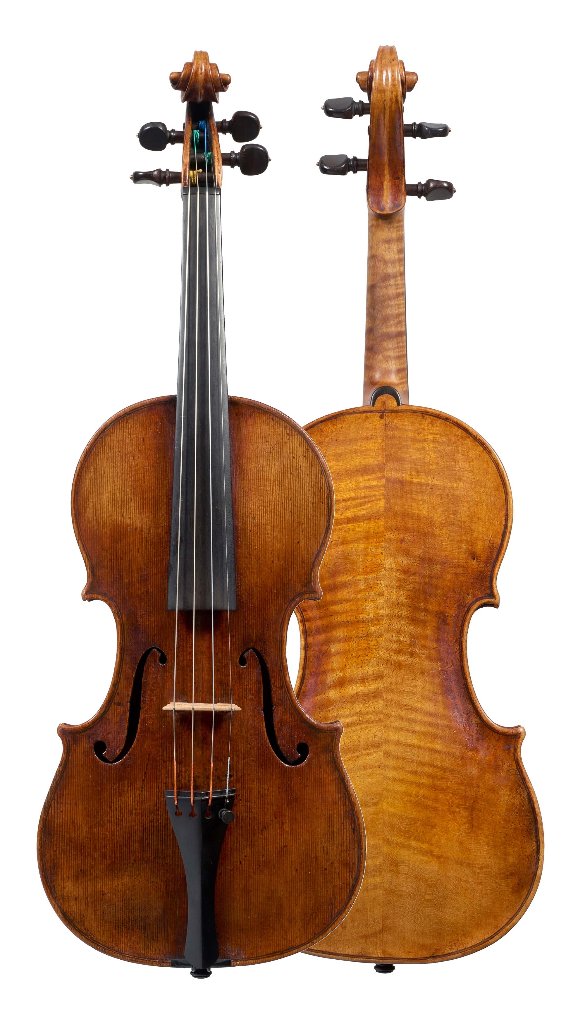 A highlight violin by Carlo Giuseppe Testore