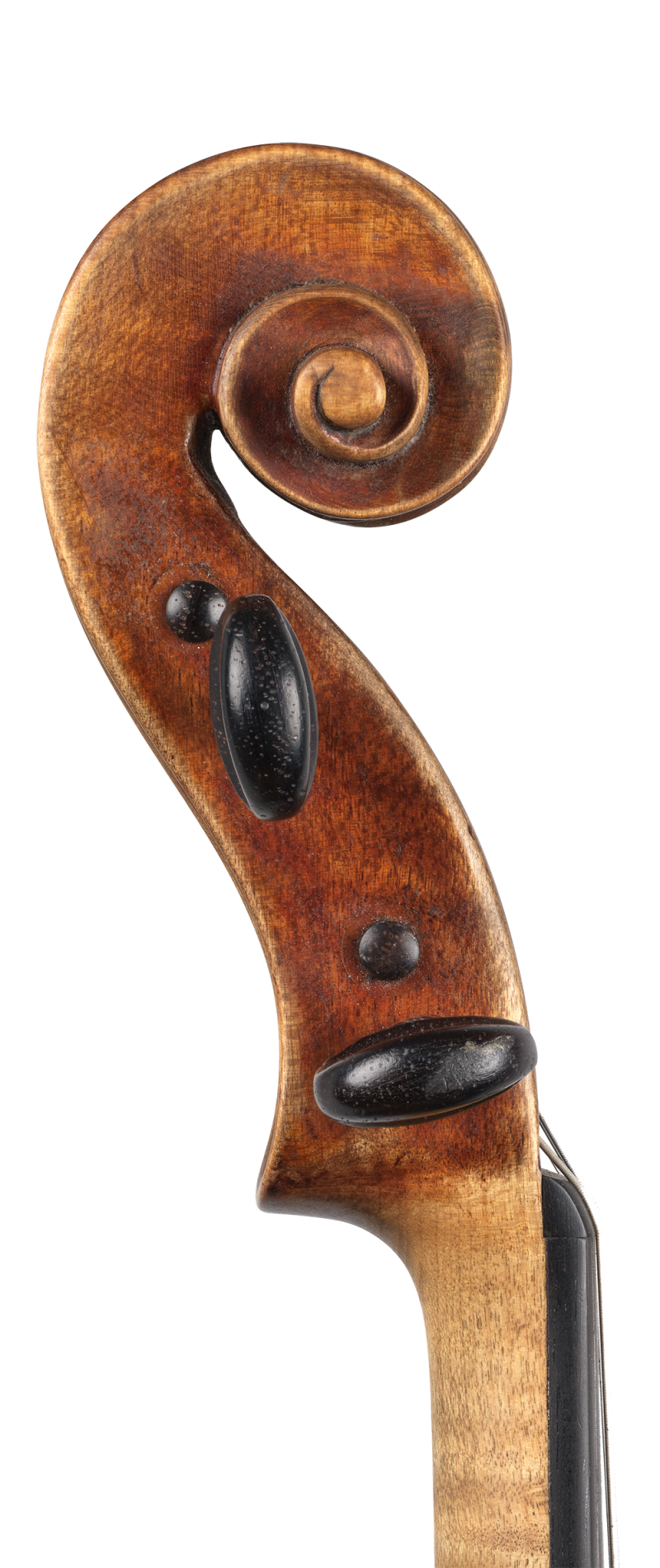 A violin by Vincenzo Postiglione, Naples, 1895 for Private Sale