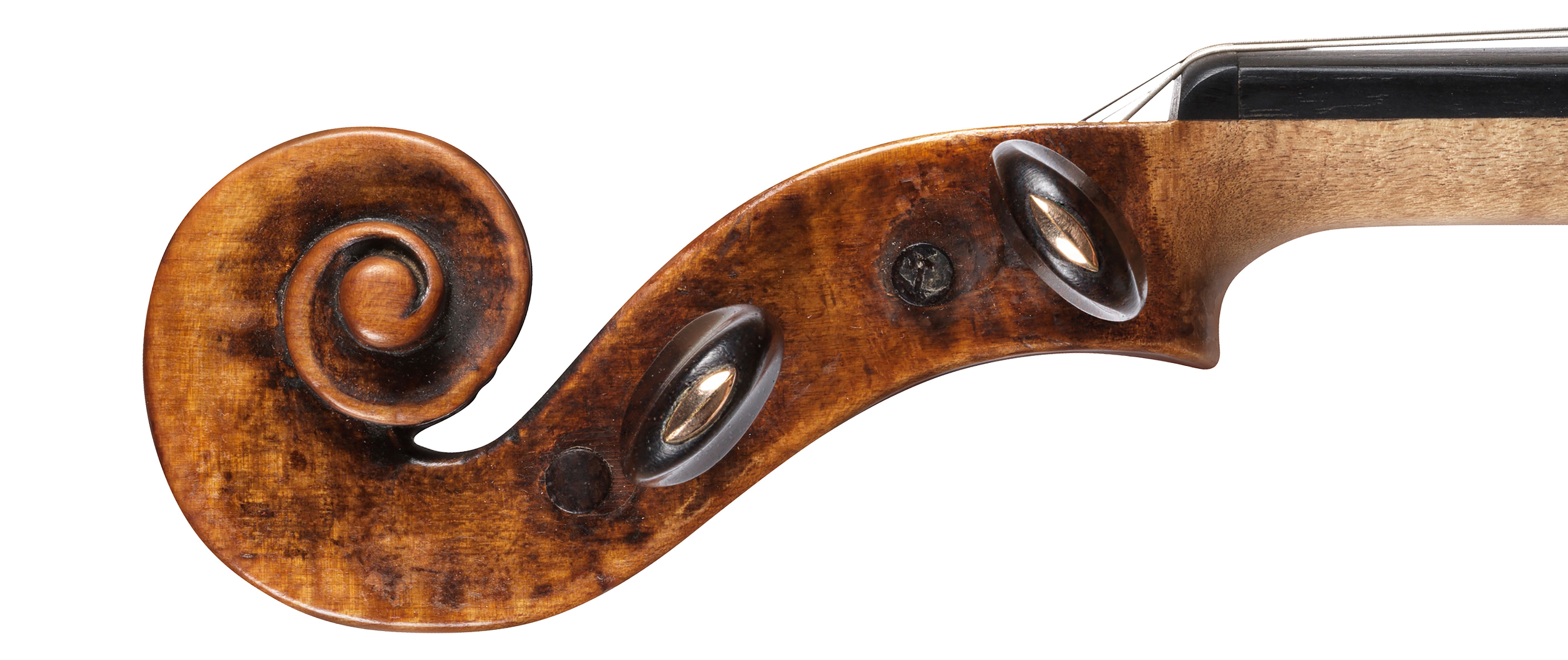 c1680 PT Bussetto-s-r for Feature