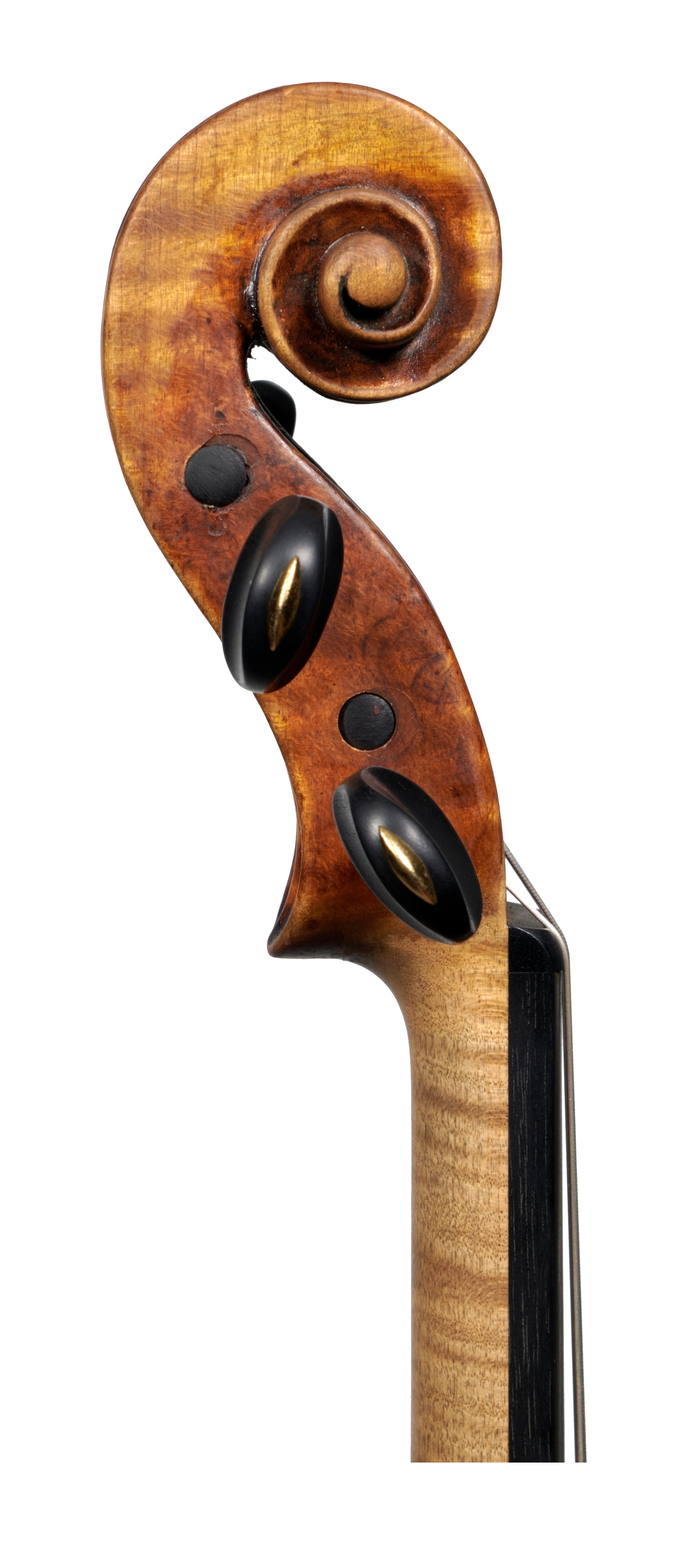 Scroll of a violin by the Voller Brothers
